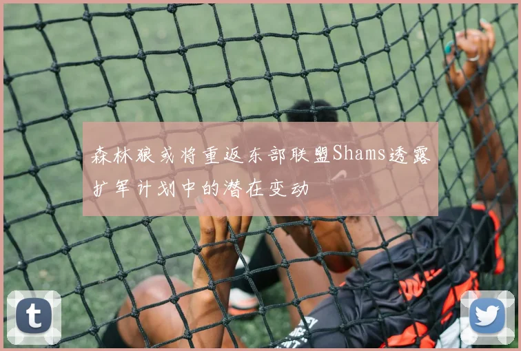 森林狼或将重返东部联盟Shams透露扩军计划中的潜在变动