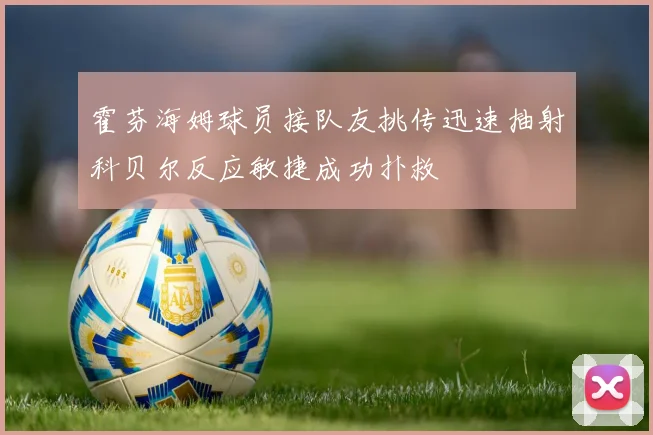 霍芬海姆球员接队友挑传迅速抽射科贝尔反应敏捷成功扑救